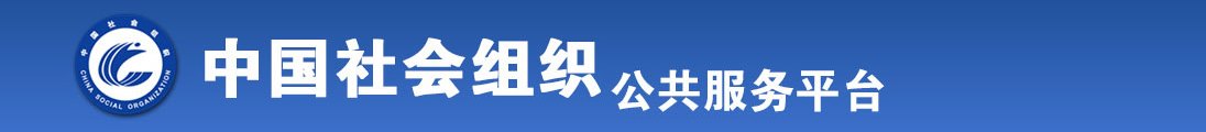 wwww艹逼在线看com全国社会组织信息查询